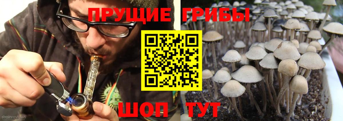 где купить наркоту  Вход с VPN  Можайск  Галлюциногенные грибы MAGIC MUSHROOMS 